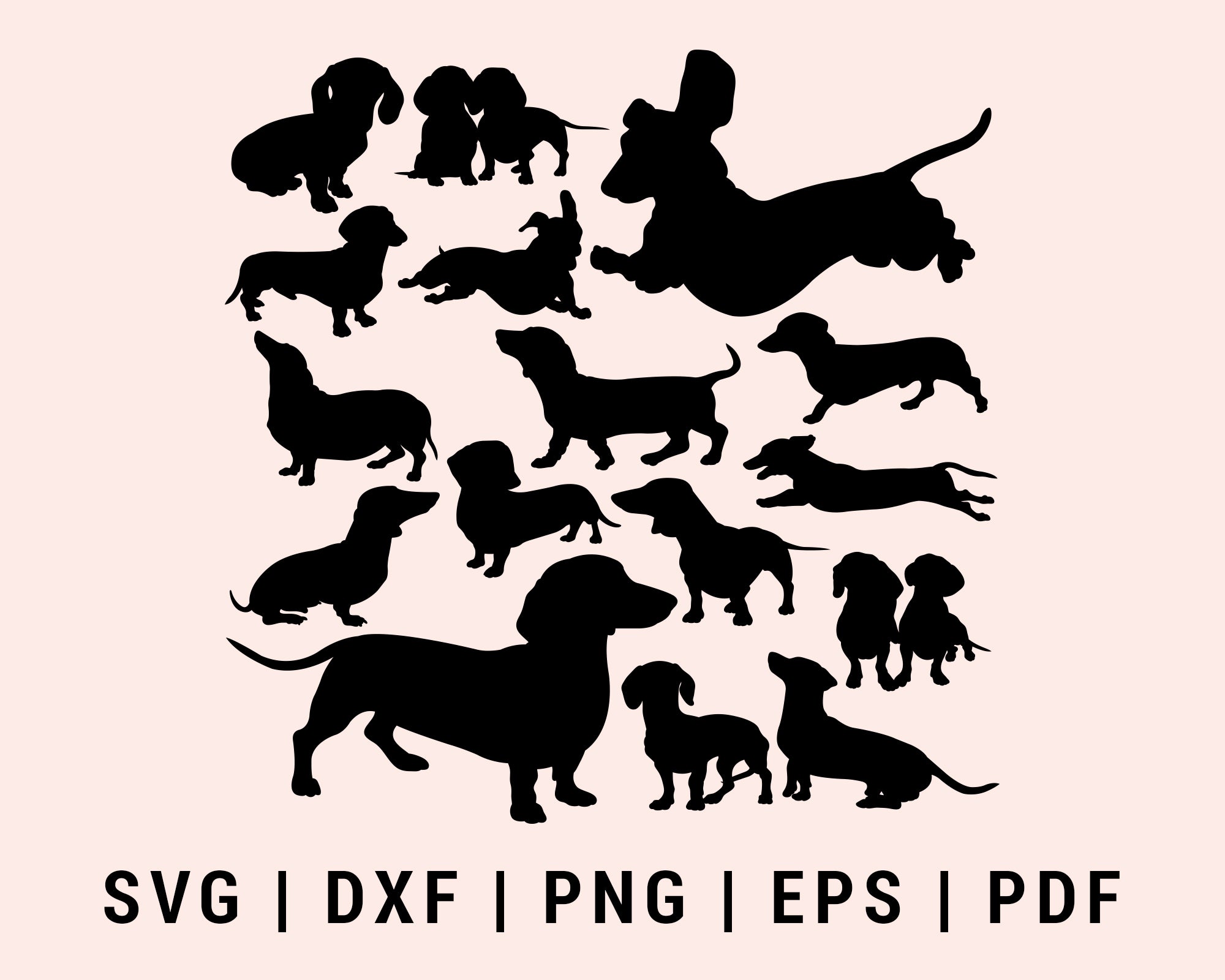 Dachshund dog animal Cut File For Cricut Bundle SVG, DXF, PNG, EPS, PDF Silhouette Printable Files
