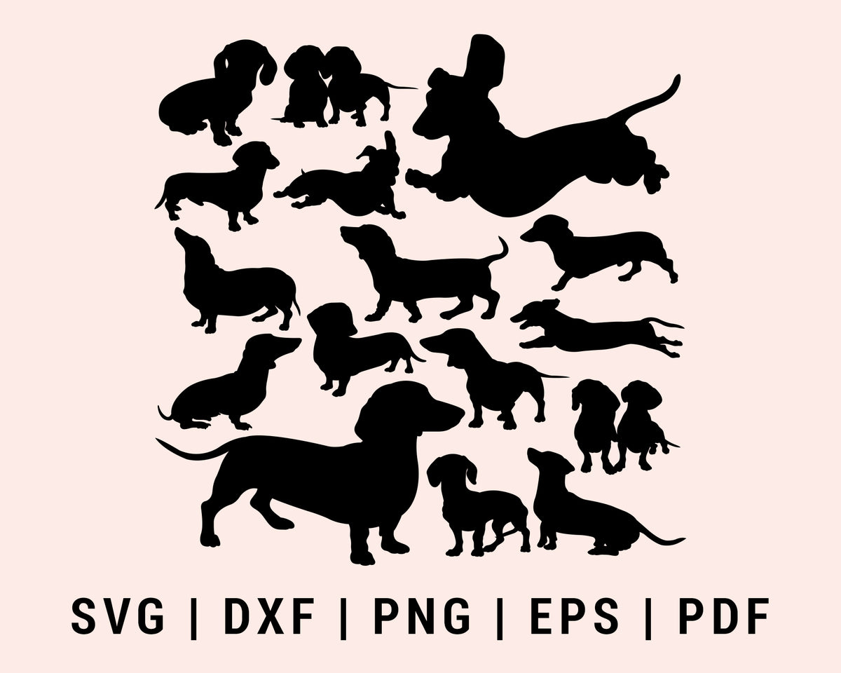 Dachshund dog svg – Creativedesignmaker