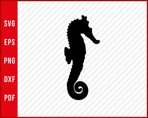 Seahorse